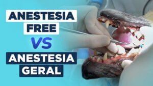 anestesia-free-VS-anestesia-geral