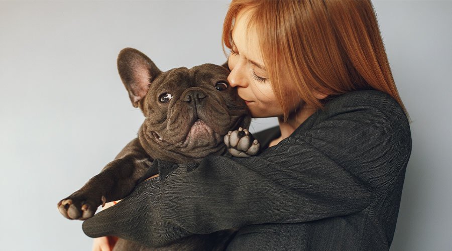 mulher segurando cão braquicefálico no colo 